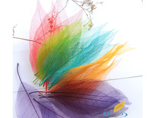 �������� (10 ��.)6.jpg