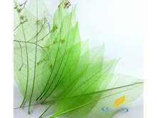 �������� (10 ��.)7.jpg