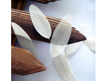 ���� (10 ��.)  81�. �����, ������, ����������, �������, ���������, �����, ����������  ������ ������� 3-7 ��..jpg