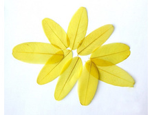 ���� (10 ��.)1.jpg