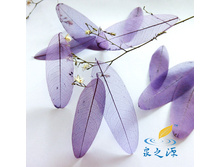 ���� (10 ��.)3.jpg