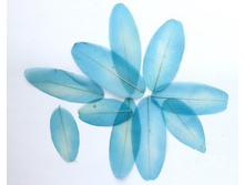 ���� (10 ��.)4.jpg