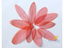 ���� (10 ��.)5.jpg