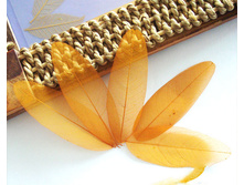 ���� (10 ��.)6.jpg