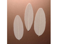 ���� (10 ��.)7.jpg