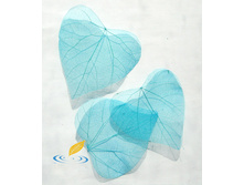 ������ (10��.)3.jpg