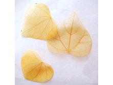 ������ (10��.)4.jpg