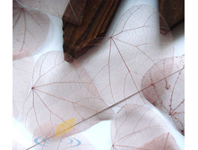 ������ (10��.)5.jpg