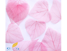 ������ (10��.)6.jpg