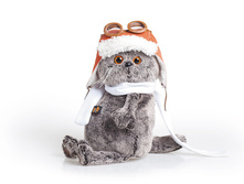 ����� � �����