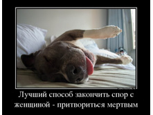 62434608_luchshij-sposob-zakonchit-spor-s-zhenschinoj-pritvoritsya-mertvyim.jpg