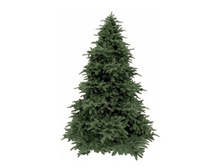 ������������� ���� ��������� 185 �� �.�������. 73654_9646 ���