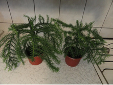 ���������- �� 400  ���.