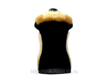 ��� �� �����