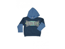 ������ �100-27