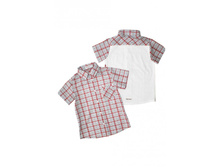 ������� �017-86.98