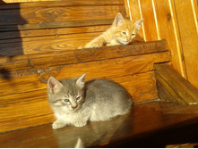 2013-10-17 15.48.14.jpg