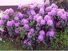 ����������� ��������� ������������ -301