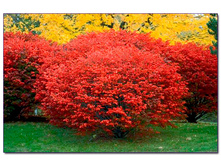 ��������� ��������� 148�