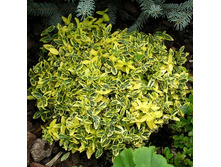 ��������� ���������� ���� 112�