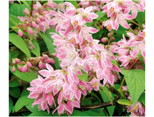 ������ ��������� ��� 127�.jpg