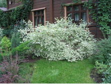 ����� ������������� 128�