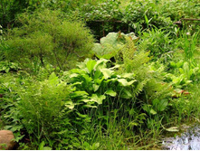 ������� ������. ������������ 172