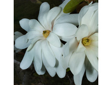 �������� �����. ���� ���� 201