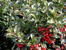 ����� ��� ��������� 143�