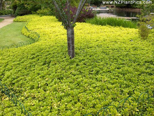 �������������� ������ 104�