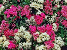 ������ ��. ������ 122�