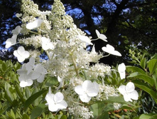 ��������� ���. ����� 141