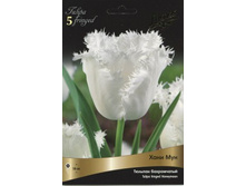 ���� ��� 1.jpg