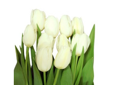 ���� ����.jpg