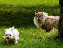 ����, �������� ����!