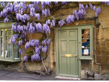 �������� ���� ������-252�