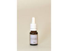 � ���� 10 ��.jpg  105���  (������)