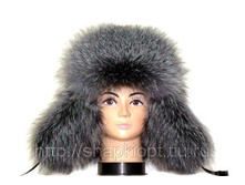 ����� ���������������,����-7000 ���.+���.%