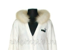 ������ �� ���� ����� ����,���������