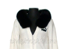 ������ �� ���� ������� �����,�� ���������