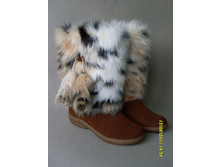 �-12 � �����������