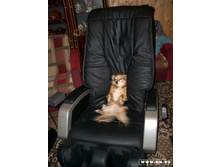 � ��������� ������