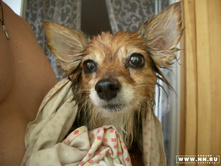 ������ ����� ����