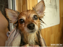 ������ ����� ����-2