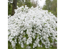 ��������� �� �����-144�