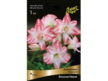 ��������� ������� �����. 290,0