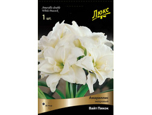 ��������� ���� �����.300,0