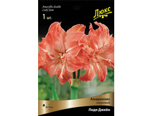 ��������� ���� ����� 267