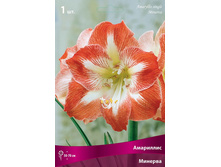 ��������� ������� 245,0