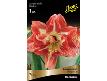 ��������� �������� 290